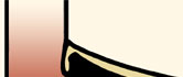 Marie Curie From Poland to Paris Footer