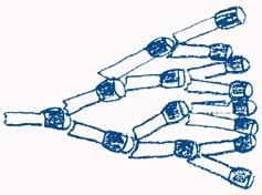 matches