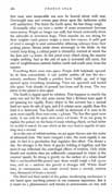 Frozen Star, page 14